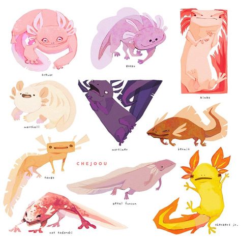 michelle on Instagram: “i drew some funky axolotls for character design i’m mortimer. also thank you @pepper.bottom and @muii.art for helping me name them :-)…” Axolotl Character Design, Axolotl Cartoon, Axolotl Drawing, Axolotl Art, Random Art, Illustration Inspiration, Character Design References, Gustav Klimt, Design Reference