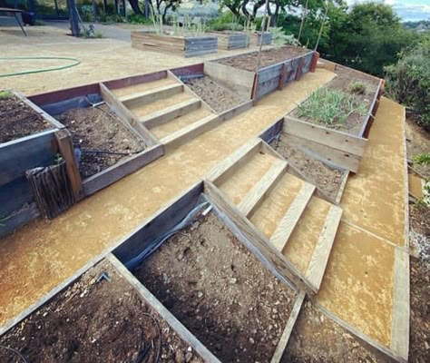 Uphill Backyard Ideas, Garden Ideas Sloped Yard, Garden Design On A Slope, Tier Garden Ideas, Terraced Vegetable Garden, Backyard Hill Landscaping, Tier Garden, Sloping Garden, Terraced Garden