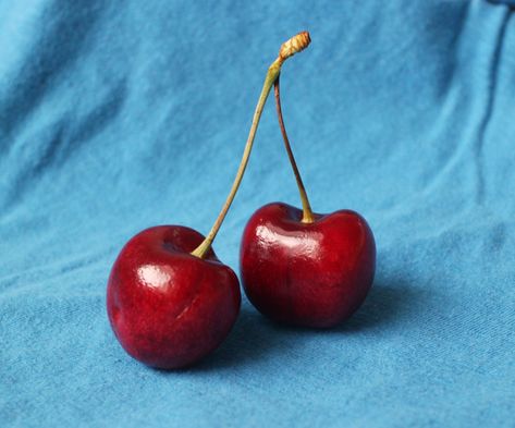 Free Cherry Reference | Lena Danya on Patreon Pastel Reference Photos, Reference Photo For Painting, Good Art Reference Photos, Random Drawing Reference Photos, Object To Paint, Realism Drawing Reference Objects, Lena Danya Paintings, Cherries Reference Photo, Cherry Art Reference