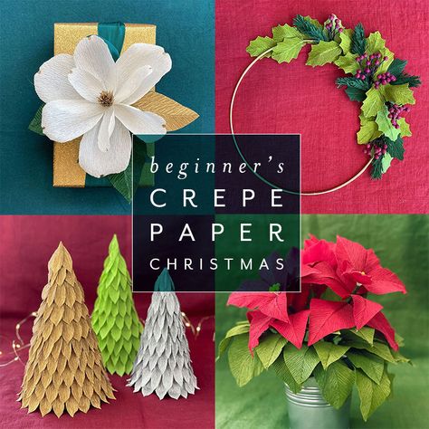 VIDEO: Beginner's Crepe Paper Christmas Workshop Crepe Paper Christmas, Crepe Paper Crafts, Christmas Workshop, Poinsettia Plant, Christmas Offers, Christmas Gifting, Cone Trees, Paper Balls, Christmas Craft Kit