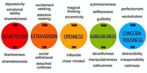 To Get Ahead as an Introvert, Act Like an Extravert. It’s Not as Hard as You Think - Neuroscience News Big 5 Personality, Big Five Personality Traits, Theories Of Personality, Maslow's Hierarchy Of Needs, Problem Solving Activities, Human Personality, Psychology Research, Fitness Logos, Personality Development