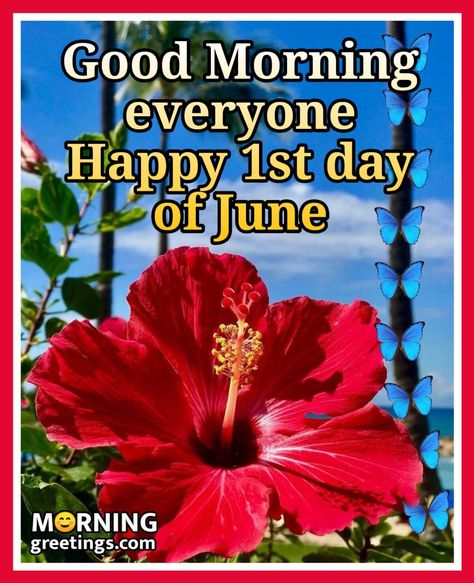 40 Best June Morning Quotes And Wishes - Morning Greetings – Morning Quotes And Wishes Images Good Morning Welcome June Quotes, Good By May Hello June, Good Morning Happy June, June Blessings Quotes, Happy June Quotes, Welcome June Images, Good Morning June, June Images, New Month Greetings