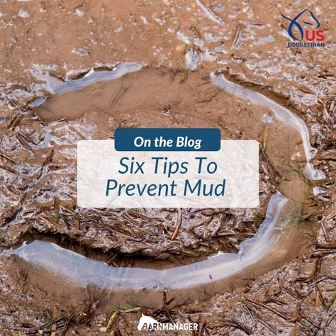 Preventing mud in your barn Horse Paddocks, Mud Control, Farm Hacks, Horse Paddock, Barn Hacks, A Barn, Magic Wand, Cleaning Solutions, Stables