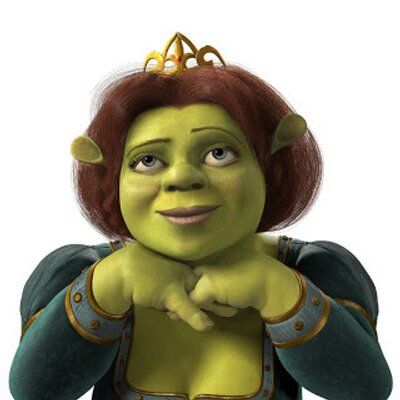 Princess Fiona Costume, Daydreaming Aesthetic, Fiona From Shrek, Dress Like Princess, Fiona Costume, Shrek Character, Shrek Fiona, Fiona Shrek, William Steig