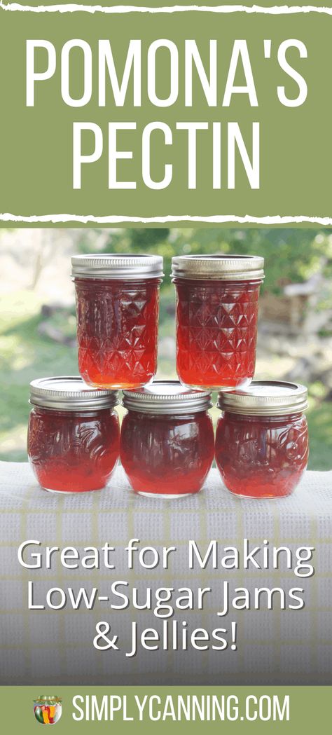 Using Pomona's Universal Pectin is a great way to cut sugar in homemade jam and jelly recipes. It comes with a pouch of pectin and a pouch of calcium (for making calcium water). Learn more at #SimplyCanning. #PomonasUniversalPectin Jam And Jelly Recipes, Low Sugar Jam Recipes, Homemade Grape Jelly, Rhubarb Jelly, Pectin Recipes, Cut Sugar, Rhubarb Jam Recipes, Low Sugar Jam, Peach Jelly