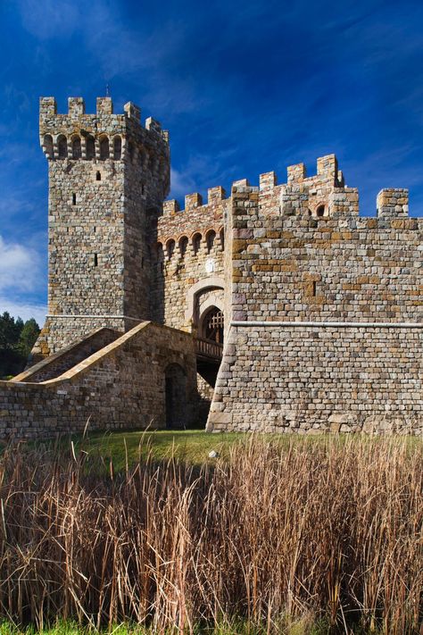 american castles Castles In America, Tuscan Castle, American Castles, Boldt Castle, Kilkenny Castle, Aztec Ruins, Castles To Visit, Castles In Ireland, Revival Architecture