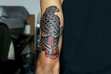 Traditional Red-Tailed Hawk tattoo Red Tailed Hawk Tattoo Traditional, Native American Hawk Tattoo, Red Tailed Hawk Tattoo, Hawk Tattoos, Jay Tattoo, Nature Sleeve, Nautical Tattoos, Science Tattoos, Hawk Tattoo