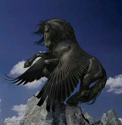 Black Pegasus Pegasus Art, Magical Horses, Winged Horse, Fantasy Horses, Unicorn Art, Horse Sculpture, Mythological Creatures, Black Horse, Mystical Creatures