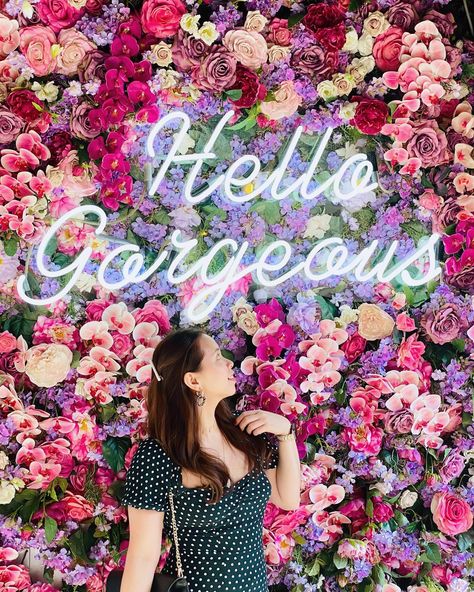 Have you had the chance to visit Social Hideout cafe in Sydney 🇦🇺 yet? If not, it’s definitely a must-visit! 🌸 Social Hideout cafe is renowned for its stunning floral decor that creates a vibrant and Instagram-worthy setting. 🌸 Look at the wall backdrop! Full of beautiful flowers and encouragement words. 🌸 The cafe’s attention to aesthetics and detail makes it a must-visit spot for those seeking NOT ONLY DELICIOUS FOOD AND DRINKS BUT ALSO A VISUALLY APPEALING EXPERIENCE. 🩷 To get to Socia... Floral Cafe, Sydney Trip, Encouragement Words, Uber App, Flower Cafe, Selfie Wall, Sydney Travel, Visit Sydney, Fairy Garden Designs