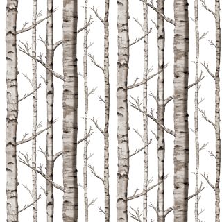 Shop Birch Grove fabric by WillowLane at WeaveUp - custom fabric Birch Tree Wallpaper, Birch Grove, Birch Forest, Mirrored Wallpaper, Birch Trees, Forest Wallpaper, Tree Wallpaper, Birch Tree, Tree Designs