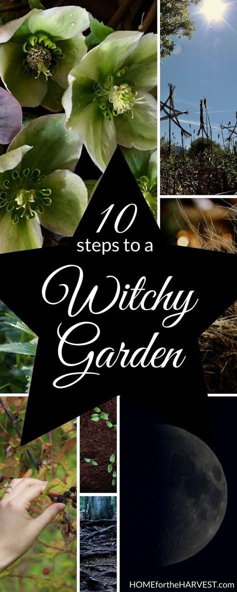 How to Create a Witchy Garden - Grow your own witch's garden by the moonlight with herbs and other magical plants | Home for the Harvest Rare Herbs To Grow, Goth Garden Design, Witch’s Garden, Witchy Garden Aesthetic, Small Secret Garden Ideas, Magical Backyard, Creepy Crafts, Witches Garden, Magical Plants