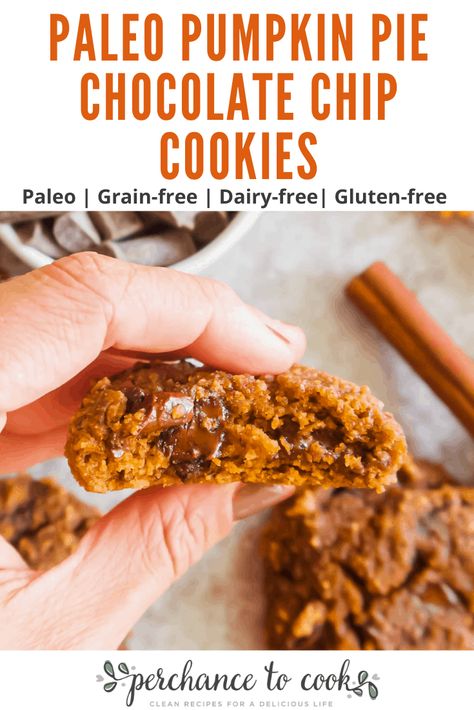 Paleo Pumpkin Pie Chocolate Chip Cookies (GF) Almond Flour Pumpkin Cookies, Paleo Pumpkin Chocolate Chip Cookies, Pumpkin Pie Chocolate, Paleo Pumpkin Cookies, Sugar Free Cookie Recipes, Gluten Free Pumpkin Cookies, Paleo Pumpkin Pie, Pie Chocolate, Fall Instagram