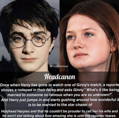 Harry Potter Head Cannons, Headcanon Harry Potter, Head Cannons, Funny Harry Potter Jokes, Harry And Ginny, Harry Potter Stories, Potter Head, Harry Potter Feels, Harry Potter Puns