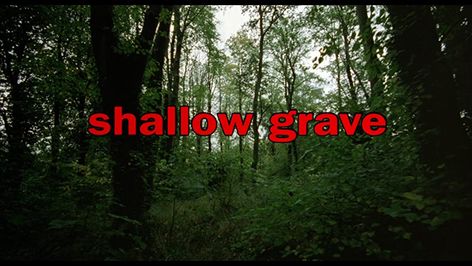 Grave Movie, Shallow Grave, Career Inspiration, Between Friends, Chick Flicks, Ewan Mcgregor, Title Card, Movie Collection, Live Laugh Love