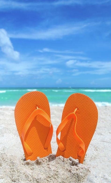 Pink Sand Beach Bahamas, Beach House Room, Summer Orange, Surfer Style, Good Night Gif, Beach Photography Poses, Summer Flip Flops, Happy Summer, Rimini