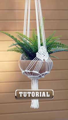 Macramé Plant Hanger Tutorial NEW Pattern idea... Diy Macrame Plant Hanger Easy, Diy Macrame Plant Hanger Pattern, Plant Hanger Tutorial, Diy Macrame Plant Hanger Tutorials, Crochet Plant Hanger, Free Macrame Patterns, Macrame Plant Hanger Tutorial, Macrame Plant Hanger Patterns, Makramee Diy