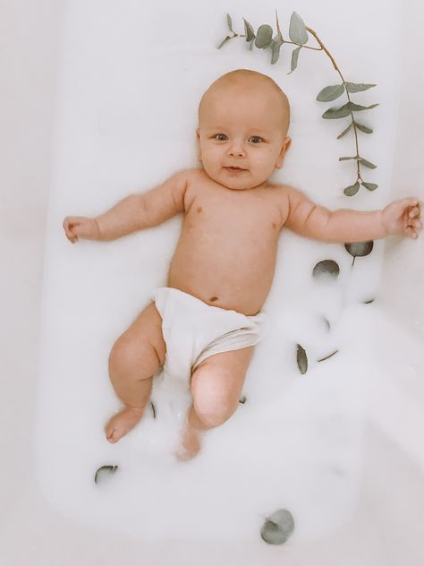 Milk Bath Photos, Bath Pictures, Milk Bath Photography, Newborn Bath, Bath Photography, Floral Bath, Baby Tiger, Milk Bath, Newborn Photos