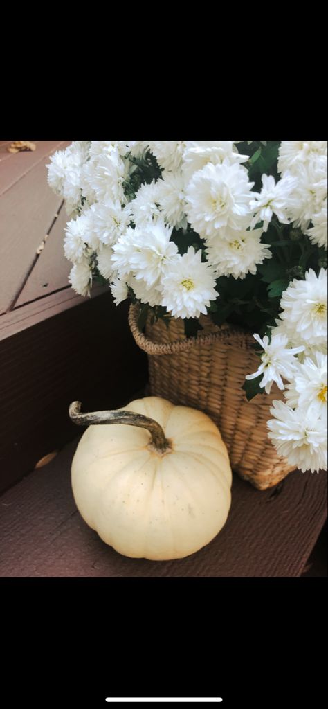 Porch Decor For Fall, Types Of White, White Mums, White Pumpkins, Porch Decor, Porch Decorating, Curb Appeal, Porch, Table Decorations