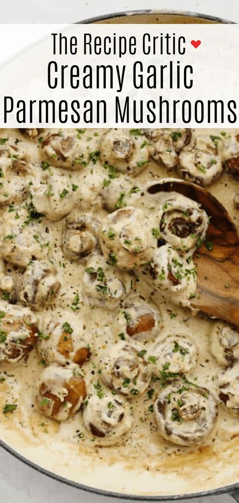 Mushroom Parmesan Sauce, Mushrooms In Creamy Garlic Sauce, Creamy Garlic Parm Mushrooms, Creamy Mushroom Casserole, Garlic Mushrooms In Parmesan Cheese, Low Carb Mushroom Recipes, Whole Mushroom Recipes, Mushrooms Crockpot, Mushroom Cream Cheese