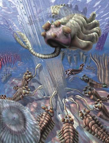 Amazing creatures Burgess Shale, Cambrian Explosion, Prehistoric Wildlife, Animals And Plants, Prehistoric World, Ancient Animals, Prehistoric Art, Paleo Art, Extinct Animals