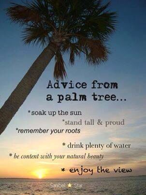 Stand tall lone palm. love the ocean beach. Ocean quotes to live by Palm Tree Quotes, Beach Sayings, Tree Quotes, Random Sayings, Palm Tree Tattoo, Ocean Quotes, Drink Plenty Of Water, I Love The Beach, Jimmy Buffett