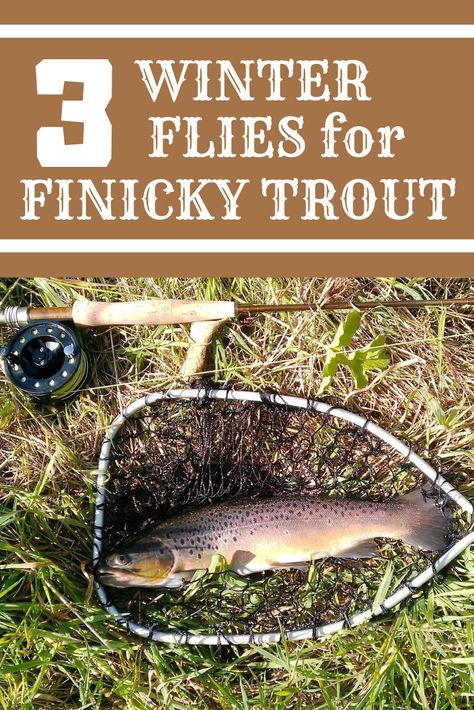 Top 3 Flies For Catching Winter Trout | A Man & His Rod Fishing With Kids, How To Fly Fish, Day On The Lake, Fishing Clothes, Fishing Basics, Fish Nature, Trout Fishing Tips, Winter Fishing, Fly Fishing Tips