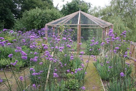 The clients wanted to have a fruit cage that was big enough to walk into. Garden Remodel, Fruit Cage, Plant Cages, Bush Garden, Herb Garden In Kitchen, Sussex England, Cottage Garden Design, Garden Services, House And Garden