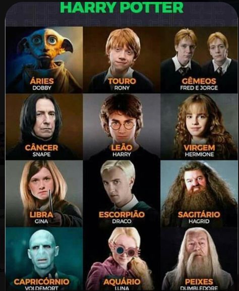 Harry Potter Zodiac Signs, Harry Potter Zodiac, Your Zodiac Your, Harry Potter Symbols, Harry Potter Character, Harry Potter Voldemort, Zodiac Signs Pictures, Which Character Are You, Funny Harry Potter Jokes