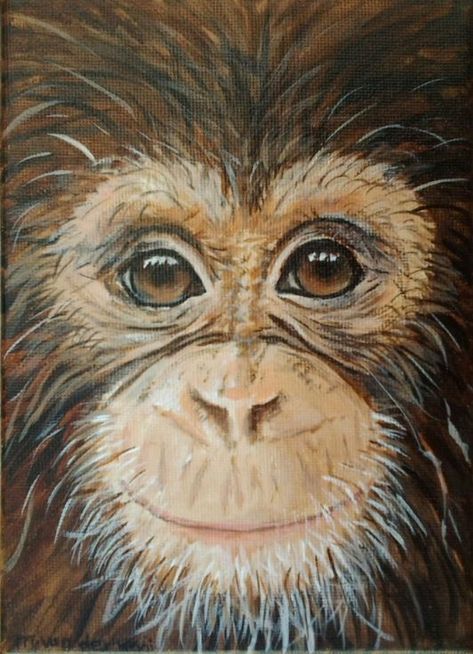 Jungle Animal Art, Animal Paintings Acrylic, Gorillas Art, Daydream Believer, Monkey Art, Acrylic Painting For Beginners, Acrylic Painting Techniques, Acrylic Painting Tutorials, Beginner Painting