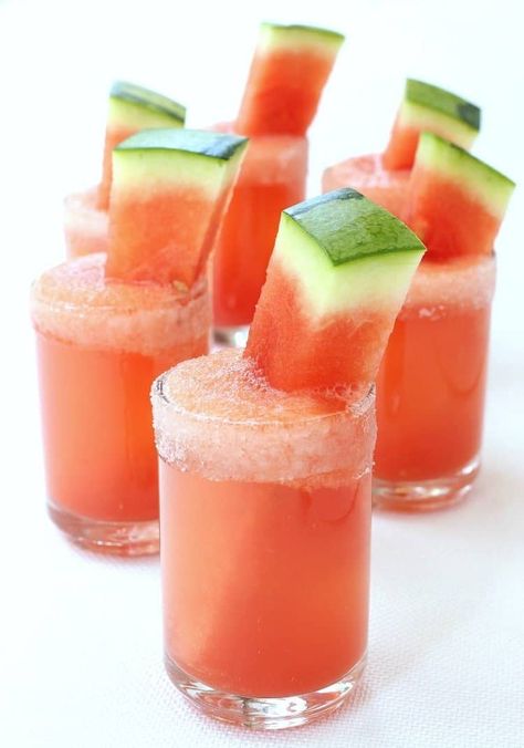 Margarita Shooters, Watermelon Shots, Limeade Drinks, Tequila Drinks Recipes, Watermelon Sticks, Raspberry Mojito, Watermelon Cocktail, Best Summer Cocktails, Mezcal Cocktails