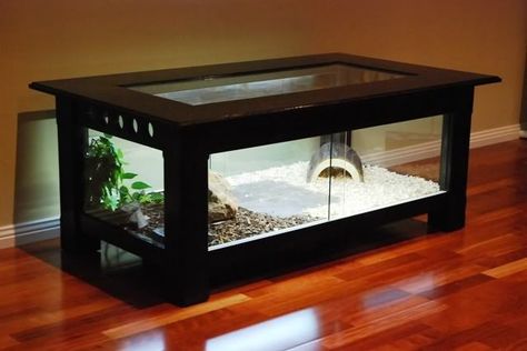 Coffee table terrarium for office pet Diy Reptile Enclosure, Class Pets, Aquarium Coffee Table, Snake Cages, Diy Reptile, Snake Terrarium, Snake Enclosure, Unique Terrarium, Tortoise Habitat