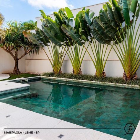 Tropical Backyard Landscaping, Pool Plants, Swimming Pool Landscaping, Tropical Garden Design, Tropical Backyard, Pool Landscape Design, Front Garden Design, Small Pool Design, Backyard Pool Landscaping