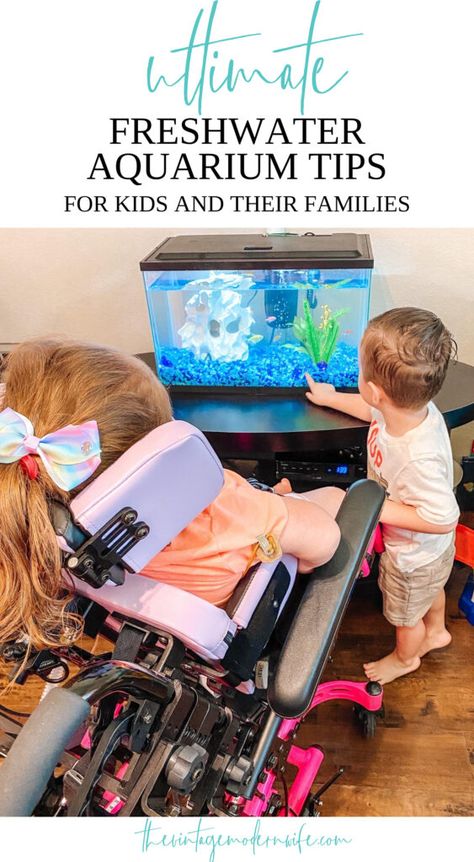 Kids Aquarium, Aquarium Tips, Fish Tank Gravel, Boredom Busters For Kids, Fish Care, Small Tank, Boredom Busters, Indoor Activities For Kids, Beneficial Bacteria