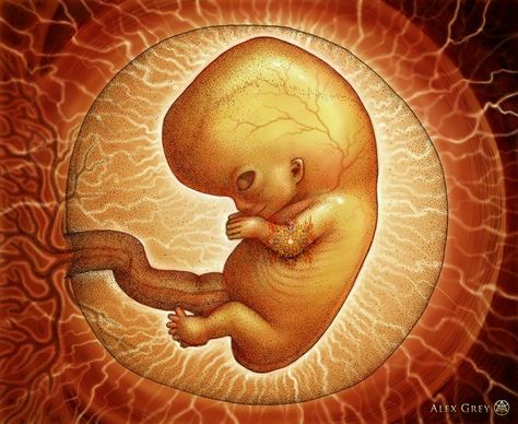 Embryo | Alex Grey Embryo Art, Alex Gray Art, Eclipses Art, Twin Flame Art, Human Body Art, Kiss Art, Alex Grey, Flame Art, Alien Creatures