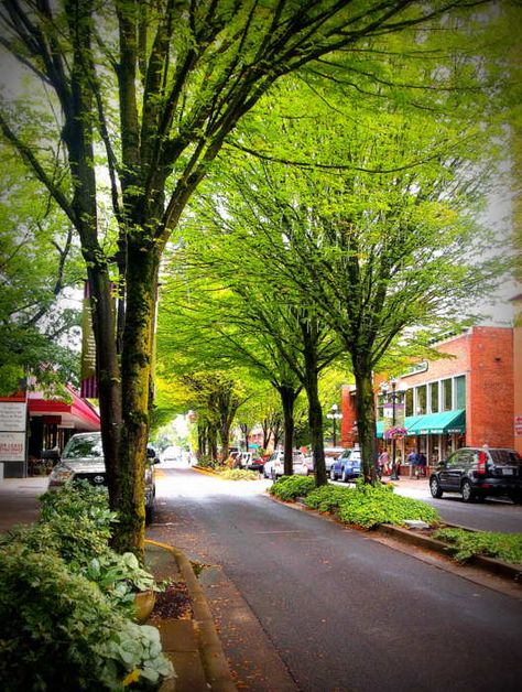 #Eugene #Springfield #Oregon #homes #PropertyManagement #rentals Eugene Oregon Downtown, Eugene Oregon Aesthetic, Oregon Homes, Oregon Aesthetic, Springfield Oregon, Aesthetic Scenery, Explore Oregon, Oregon Photography, Oregon City