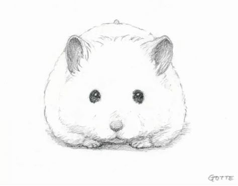 Animation Character Concept, Cartoon Drawings Of Animals, Pencil Drawings Of Animals, A Hamster, Dragonfly Art, Cartoon Sketches, Amazing Drawings, Hand Art Drawing, Cute Little Drawings