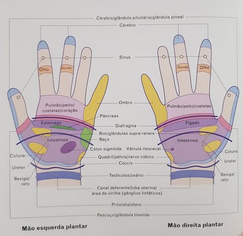 Reflexologia das mãos: como fazer Massagem nas mãos (auto massagem) - Thiago Nishida Foot Reflexology, Alternative Therapies, Reflexology, Spa Day, Peace Gesture, Massage, Spa, Pasta, Quick Saves