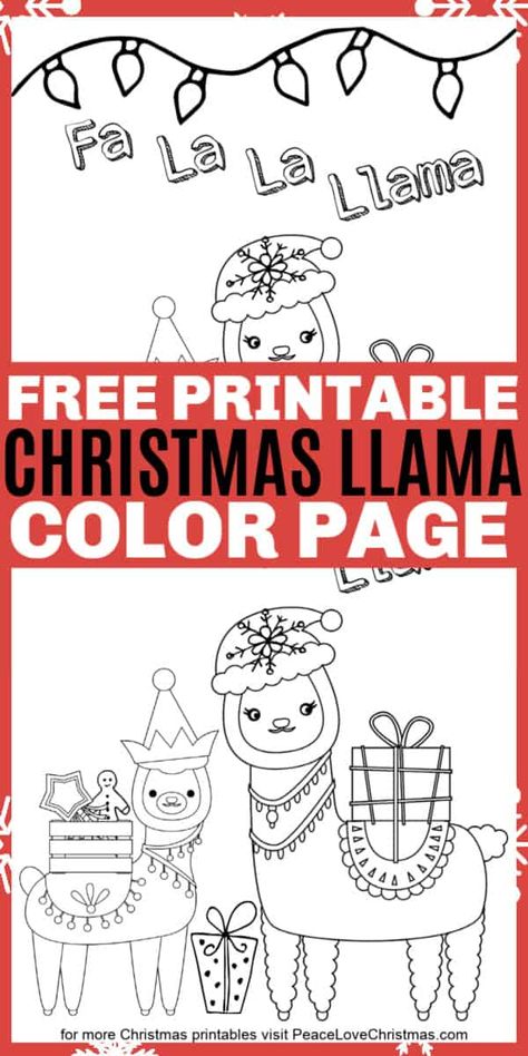 This free printable Christmas Llama Coloring Page is perfect for the llama-lover in your life. Free to download and print off this is an adorable color sheet. #coloringpages #printables #llamas #freeprintables #coloring Llama Coloring Page, Christmas Drama, Ornament Coloring, Christmas Llama, Llama Christmas, Inexpensive Crafts, Popular Crafts, Cute Llama, Free Christmas Printables