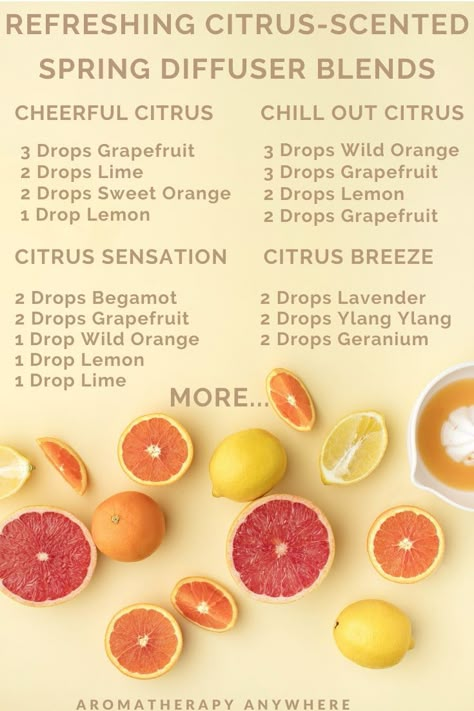 Spring Diffuser Blends: Fill Your Home With The Scents Of Spring - Aromatherapy Anywhere Essential Oil Citrus Blend, Spring Scents Essential Oils, Citrus Essential Oil Diffuser Blends, Citrus Oil Diffuser Blends, Refreshing Diffuser Blends, Spring Oil Diffuser Blends, Citrus Essential Oil Blends, Citrus Diffuser Blends, Spring Essential Oil Blends