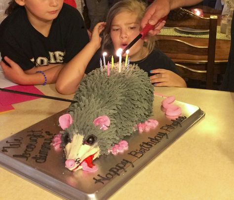 When your 9 yr. old asks for a 'Walking Dead' cake...You serve up Daryl Dixon's dead opossum! "We brought dinner!" It feels good creating new things in my kitchen, almost as good as making some kickass memories with my kids!! Hillbilly Cake Ideas, Opossum Cake, Possum Cake, Dirty 30 Birthday Party, Hillbilly Party, Walking Dead Cake, White Trash Bash, White Trash Party, Trash Party