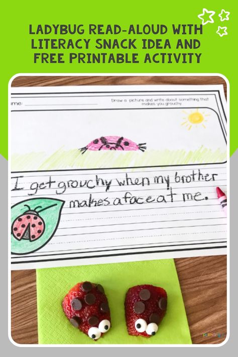 Grab our FREE printable and see our snack idea to use with The Very Grouchy Ladybug. It’s a great addition to your spring read-aloud collection.  #grouchyladybug #kindergarten #literacysnack Grouchy Ladybug Craft, Ladybugs Kindergarten, Grouchy Ladybug Activities, Ladybug Snacks, Ladybug Activities, Book Themed Activities, Ladybug Craft, Grouchy Ladybug, Bug Activities