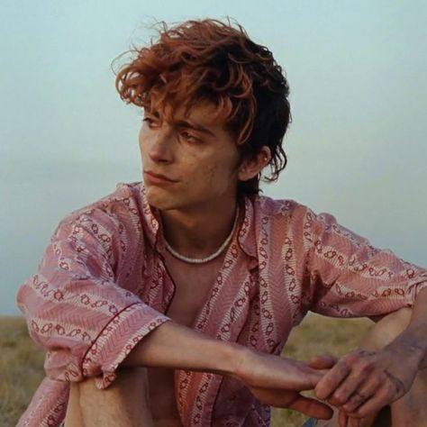 Lee Bones And All, Bones And All, Timothee Chalamet, Bones, Pink