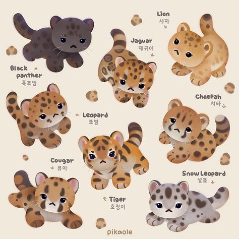 pikaole on Twitter: "🐯 The year of big cat cubs 🐅 아기거냥이의 해… " Snow Leopard Drawing, Leopard Drawing, Cute Kitties, Big Cats Art, Cute Animal Drawings Kawaii, 캐릭터 드로잉, Cute Doodle Art, Kawaii Animals, Dessin Adorable