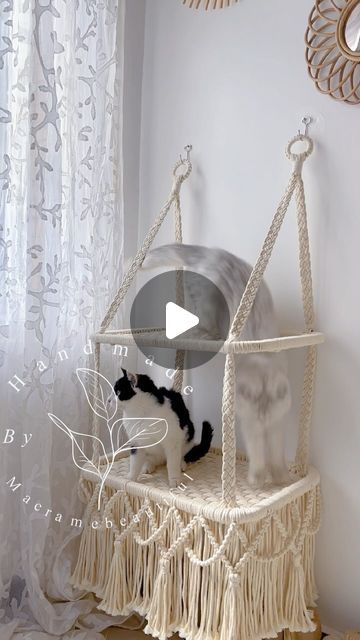 Emma Yang on Instagram: "Double the tiers, double the delight! 😻☀ Our handwoven macrame shelves are where cozy meets chic, creating the perfect sun-soaked spot for our feline friends to lounge and gaze upon their realm. It’s not just a shelf; it’s a two-story retreat for whisker-filled whimsy and relaxation. 
CHECK THE LINKINBIO for the price and the details if you are Interested in this design.
.
.
.
#BohoCatShelves #HandmadeHaven #CatLoungeLuxury #SunshineAndCatnaps #BohemianFeline #MacrameMagic #PurrfectPerch #KittyComfortZone #CraftyCats #WhiskerWovenWonder" Cat Wall Shelf, Katt Diy, Cute Macrame, Macrame Cat Hammock, Katt Grejer, Kat Diy, Cat Shelf, Cat Wall Shelves, Modern Cat Furniture