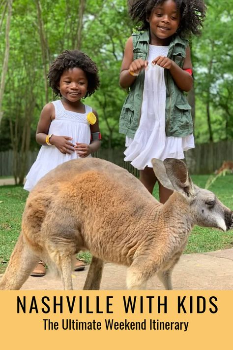 Things To Do In Nashville With Kids, Nashville With Kids, Nashville Spring, Weekend In Nashville, Things To Do In Nashville, To Do In Nashville, Visit Nashville, Dauphin Island, Lost River