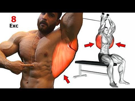 Lats Workout, Back Workout Bodybuilding, Back Workout Men, Big Biceps Workout, Gym Back Workout, Back Workout Routine, Bodybuilding Workouts Routines, Gym Workout Planner, Dumbell Workout