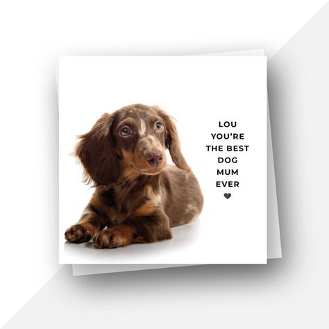 funny cards Happy Birthday Labrador, Fishing Birthday Cards, Luxury Envelope, Dachshund Birthday, Dog Lovers Birthday, 18th Birthday Cards, Happy Birthday Dad, Card Print, Mum Birthday