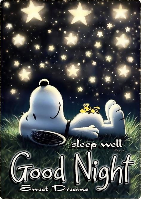 Snoopy Good Night Sweet Dreams, Good Night Humor, Snoopy Good Night, Good Night Gifs, Funny Good Night Pictures, Night Humor, Good Night My Love, Weekly Motivation, Night My Love