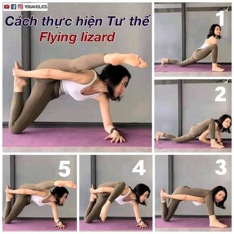 Yoga Peak Poses For Beginners, Peak Poses In Yoga, Yoga Peak Poses, Yoga Bodies, Neck Pain Yoga, Yoga Balance Poses, Flying Lizard, Standing Yoga, Quick Yoga