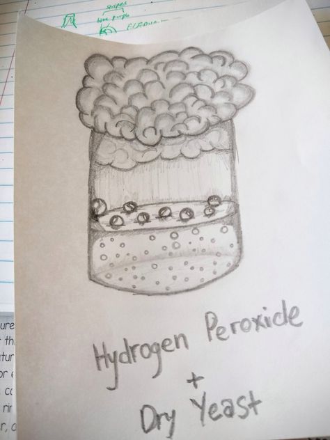 Just one of my drawings for my chemistry class ♥️ Yeast Experiment, Experiment Drawing, Chemistry Class, My Drawings, Hydrogen Peroxide, Dry Yeast, Yeast, Chemistry, Dog Tags